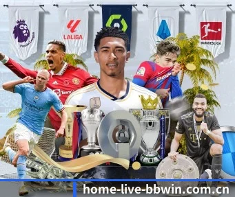 home-live-bbwin.com.cn APP